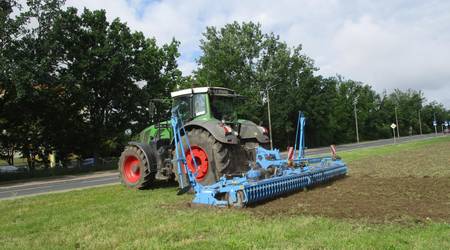 Zwei Rasenflächen in Köthen (Anhalt) werden in artenreiche Wildblumenwiesen umgewandelt.