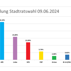 Stimmanteile