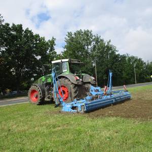 Zwei Rasenflächen in Köthen (Anhalt) werden in artenreiche Wildblumenwiesen umgewandelt.