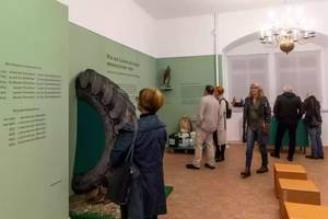 https://www.koethen-anhalt.de/var/cache/thumb_65253_1233_1_300_200_r4_jpeg_ausstellung.jpeg